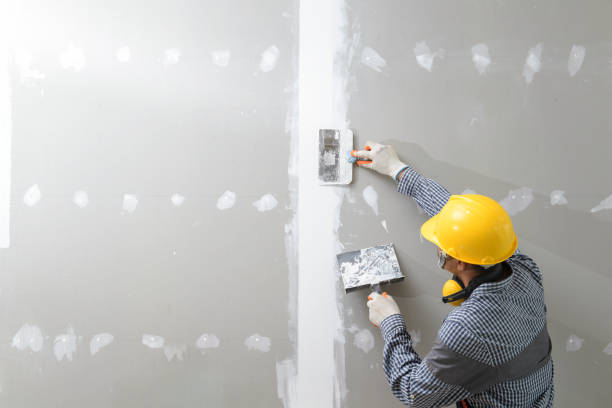 Best Drywall for New Construction  in USA